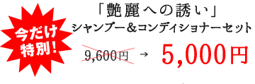 艶麗への誘いシャンプー＆コンディショナーセット今だけ特別5000円！