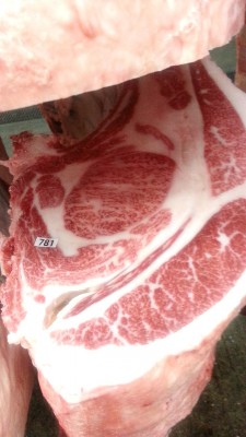 20150226_105752